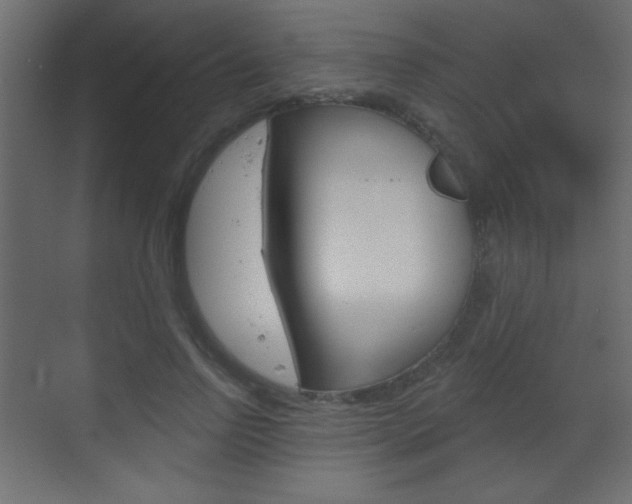 X0000070200742200605261035