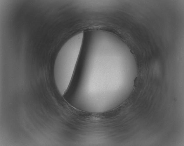 X0000070200743200605261035