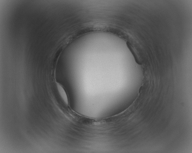 X0000070200744200605261035