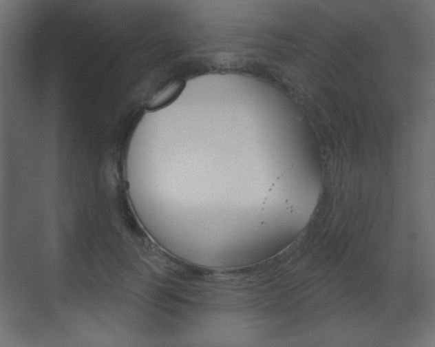 X0000070200746200605261035