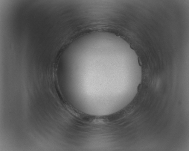 X0000070200751200605261036