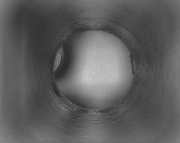 X0000070200752200605261036
