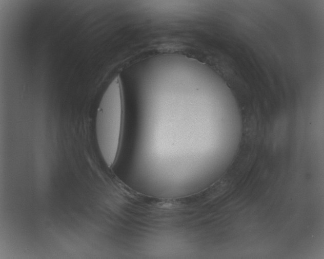 X0000070200755200605261036