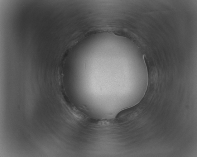 X0000070200764200605261036