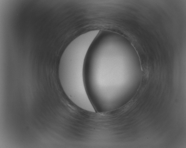 X0000070200766200605261036