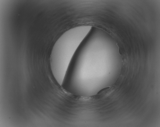 X0000070200767200605261036