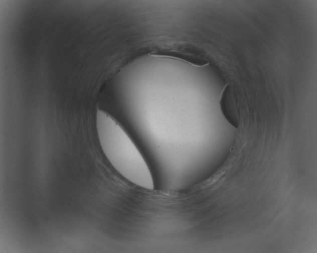 X0000070200768200605261036