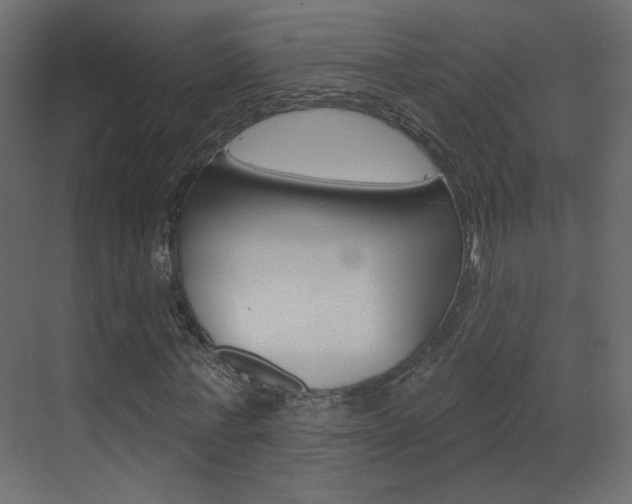 X0000070200771200605261035