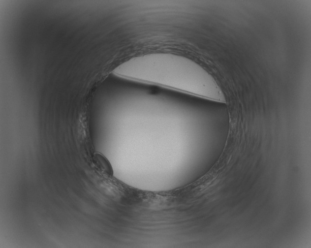 X0000070200772200605261035