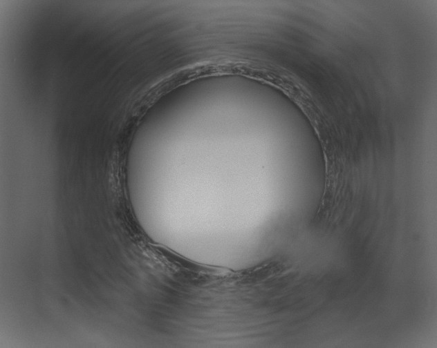X0000070200773200605261035
