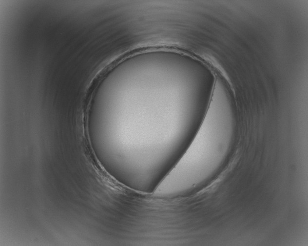 X0000070200781200605261035