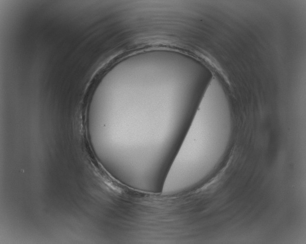 X0000070200782200605261035