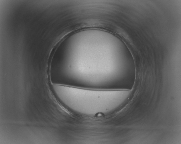 X0000070200786200605261035
