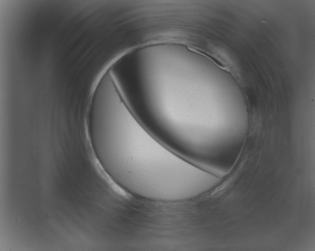 X0000070200812200605261034
