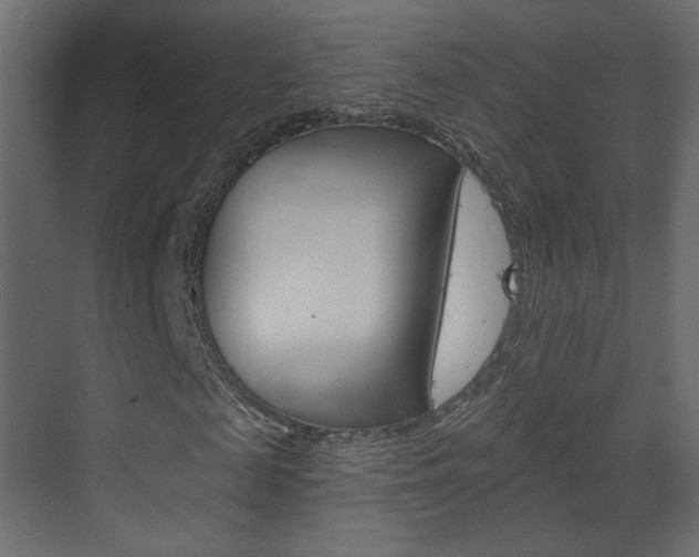 X0000070200817200605261033