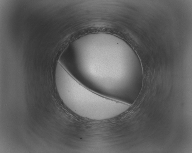 X0000070200821200605261033
