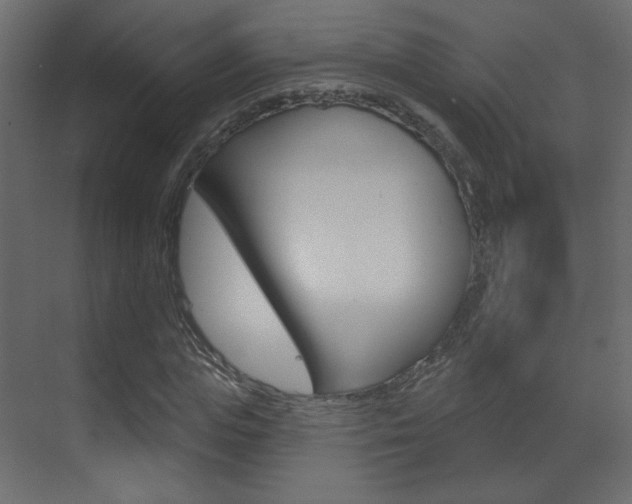 X0000070200823200605261033