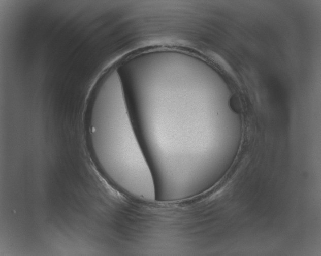 X0000070200831200605261034