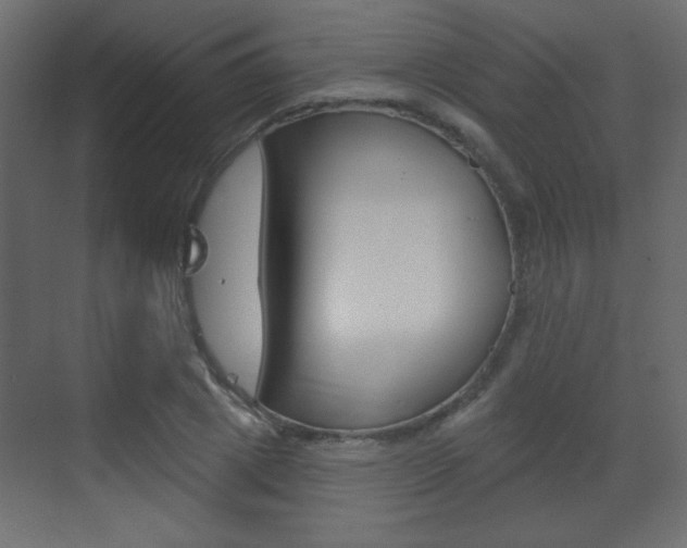 X0000070200833200605261034