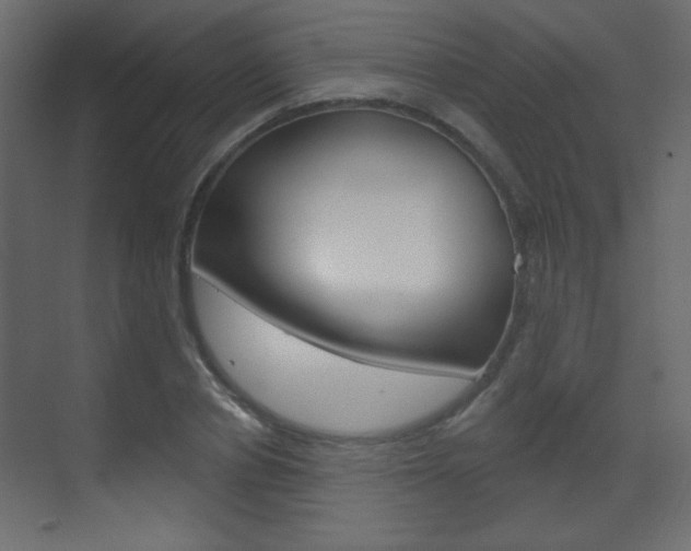 X0000070200834200605261034