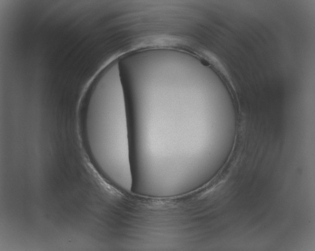 X0000070200835200605261034