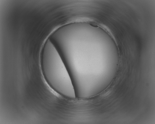 X0000070200851200605261034