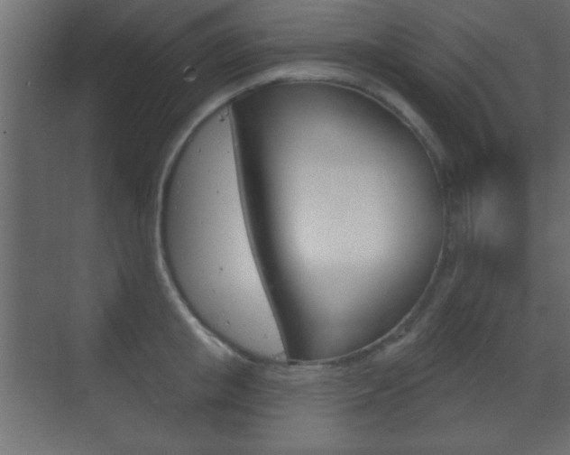 X0000070200853200605261034