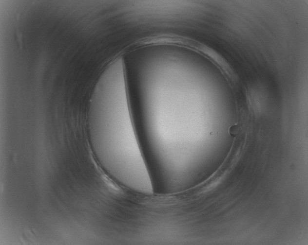 X0000070200857200605261034