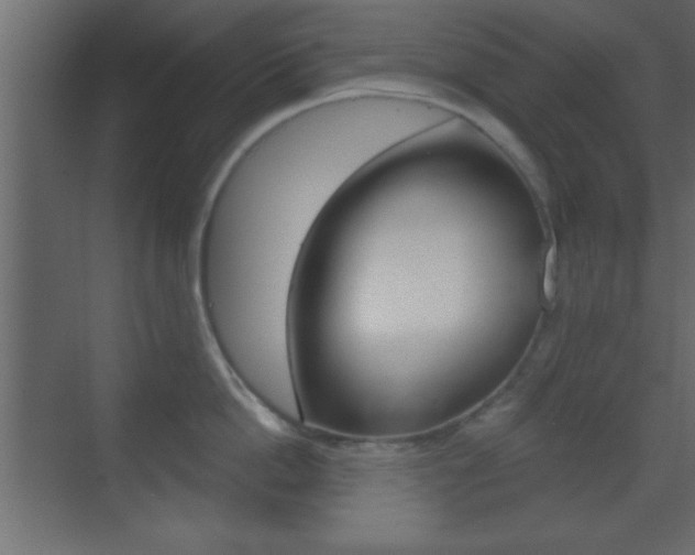 X0000070200862200605261034