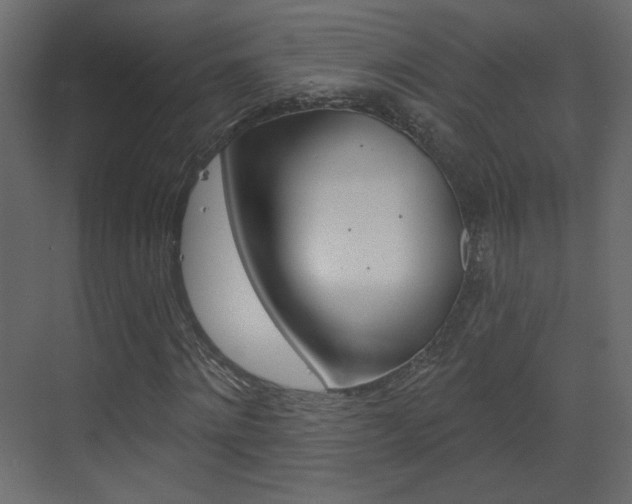 X0000070200868200605261033