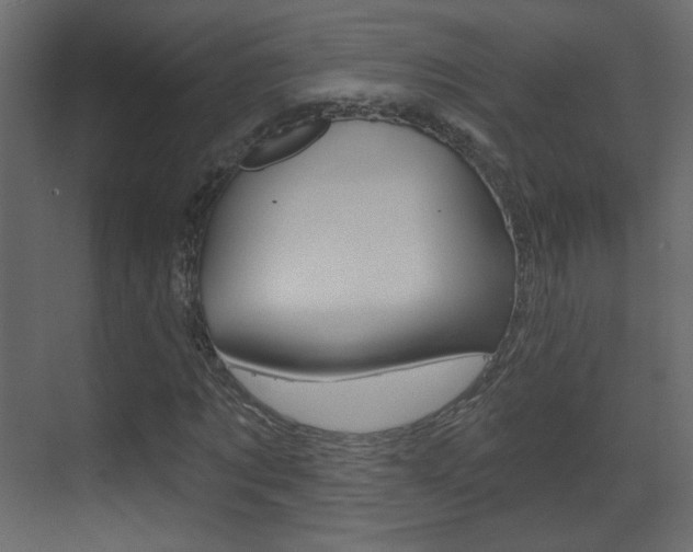 X0000070200869200605261033