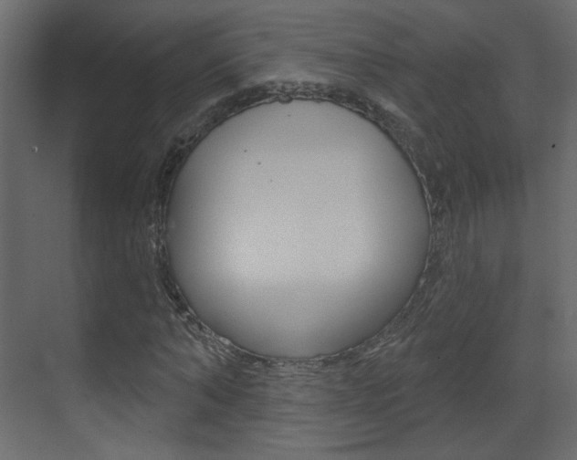 X0000070200870200605261033