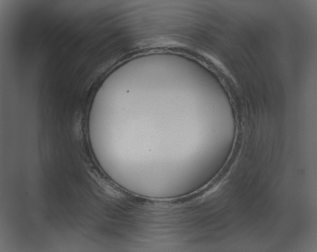X0000070200873200605261033