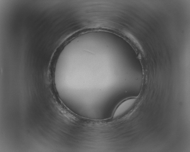 X0000070200876200605261033