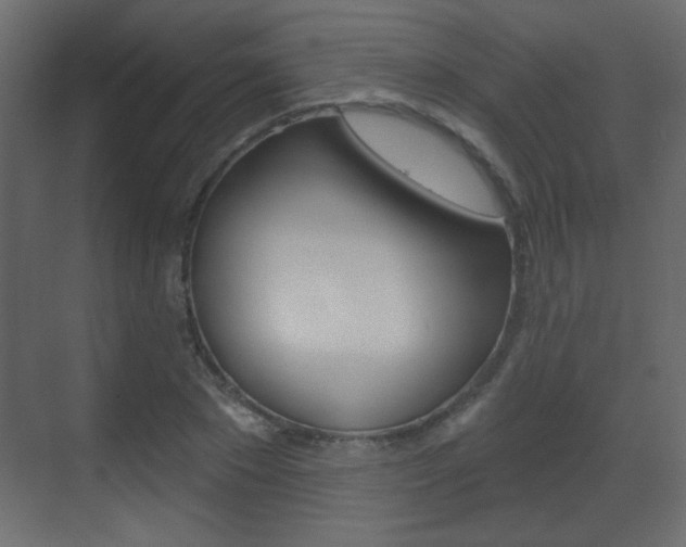 X0000070200881200605261033