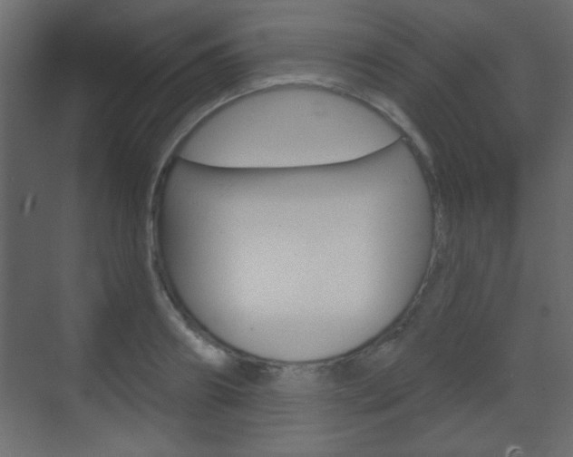 X0000070200890200605261033