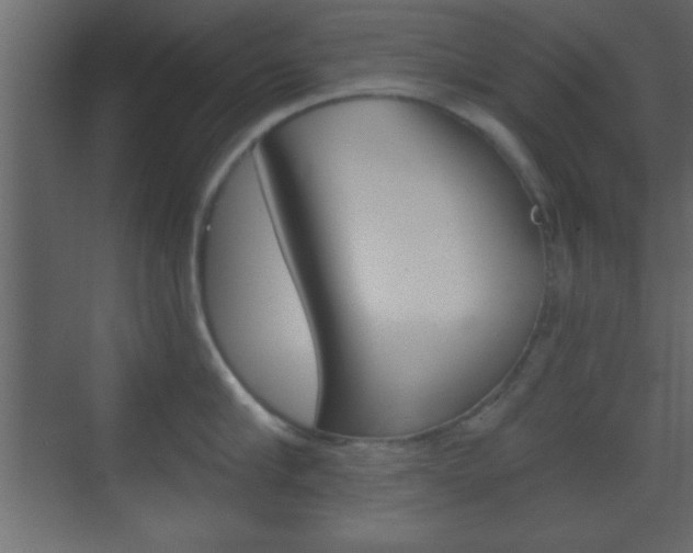 X0000070200910200605261033