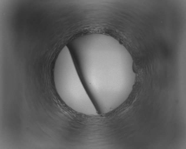 X0000070200913200605261032