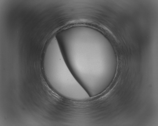 X0000070200921200605261032