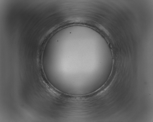 X0000070200922200605261032