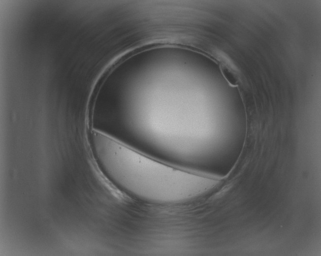 X0000070200940200605261032