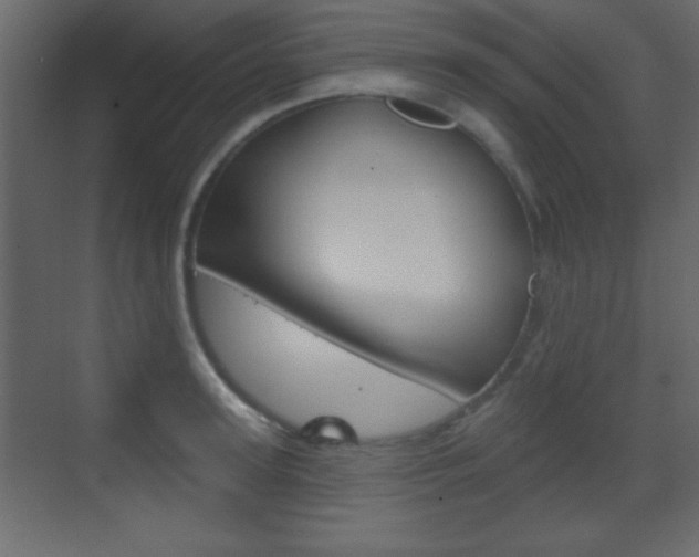 X0000070200947200605261032