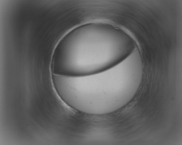 X0000070200959200605261033