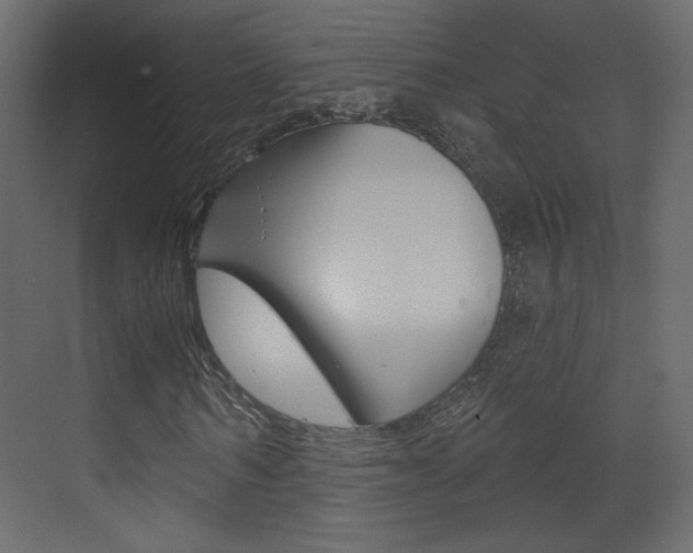 X0000070200962200605261032