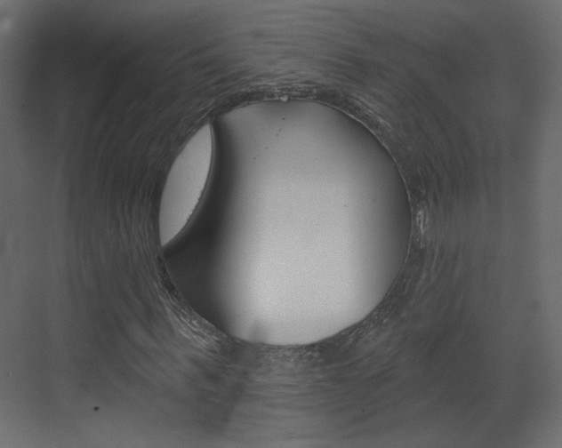 X0000070200963200605261032