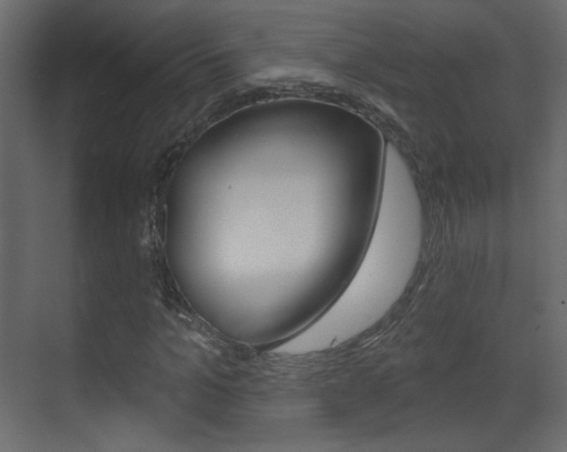X0000070200965200605261032