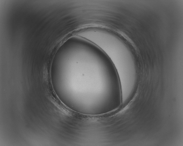 X0000070200969200605261032