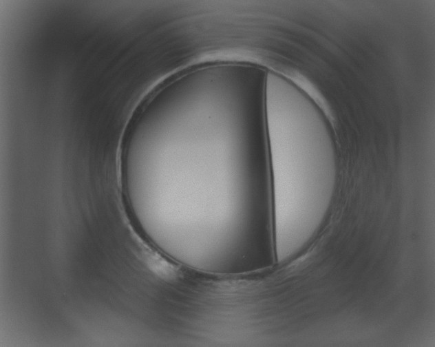 X0000070200988200605261031