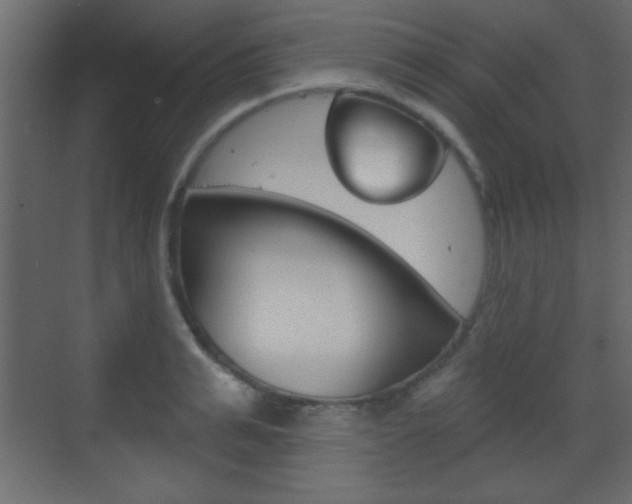 X0000070200991200605261031