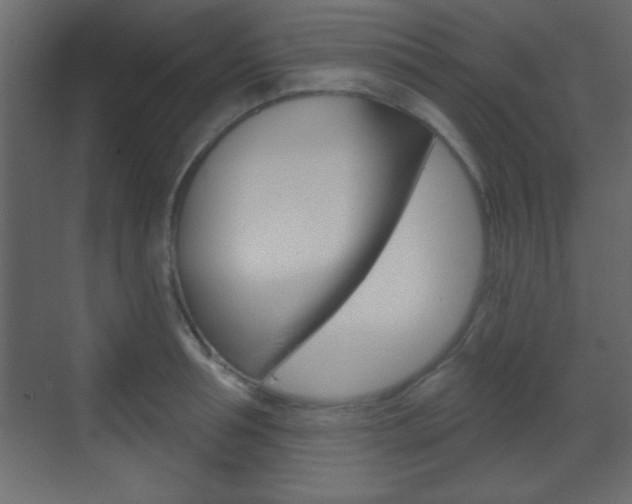 X0000070200994200605261031